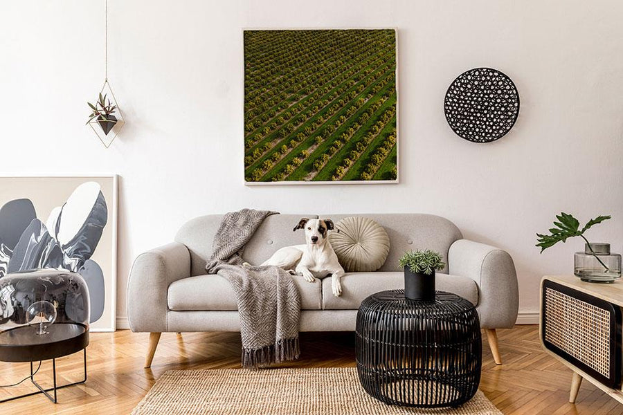 Pemberton Farm Crops Aerial Photography Print - Walkabout Yonder Walkabout Yonder