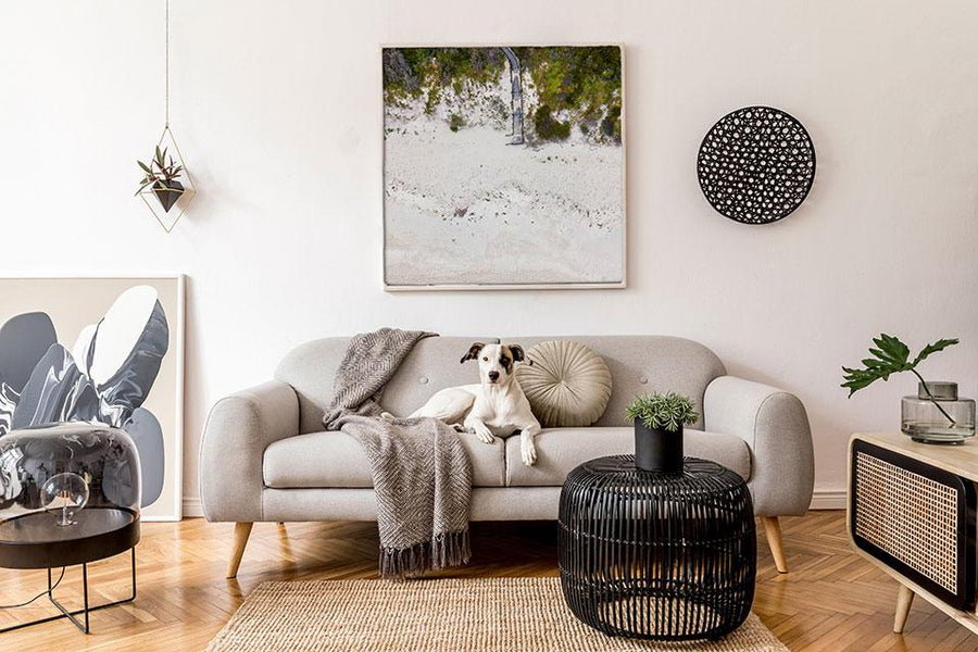 Hamelin Bay Island Beach Aerial Photography Print - Walkabout Yonder Walkabout Yonder