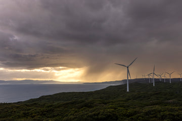 Albany Wind Farm 122