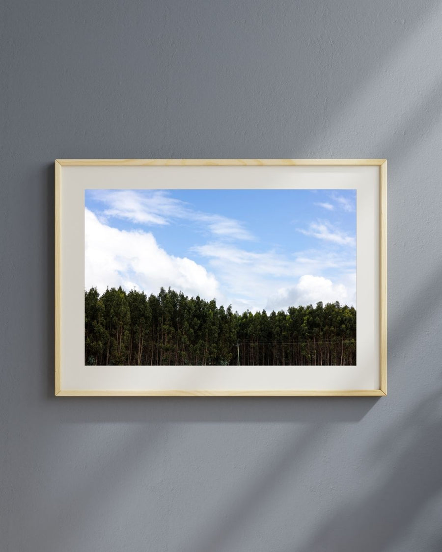 Tree Line