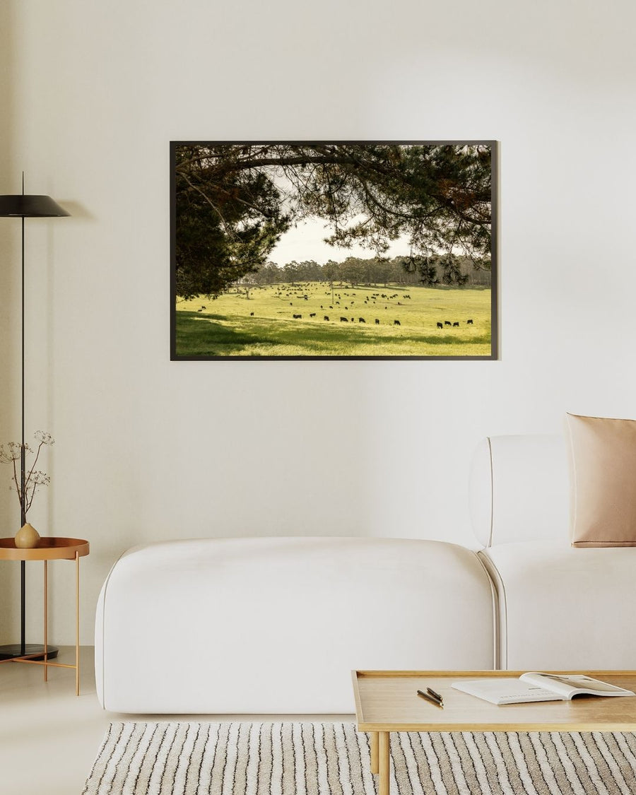 Farm CowView
